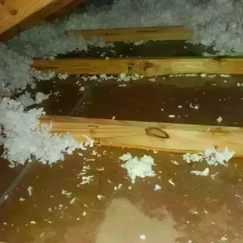 Attic Water Damage in South Whittier, CA